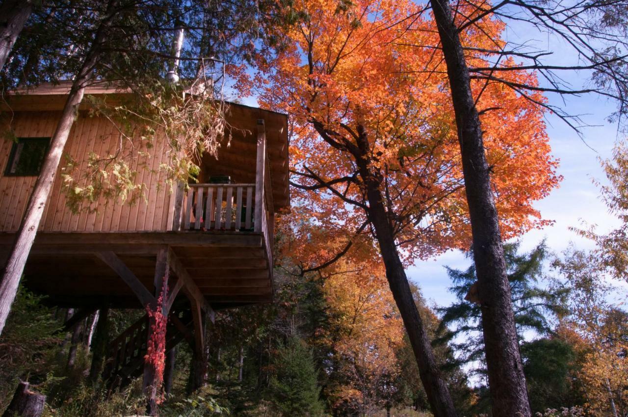 Les Cabanes Du Trappeur Wentworth-Nord Exterior photo